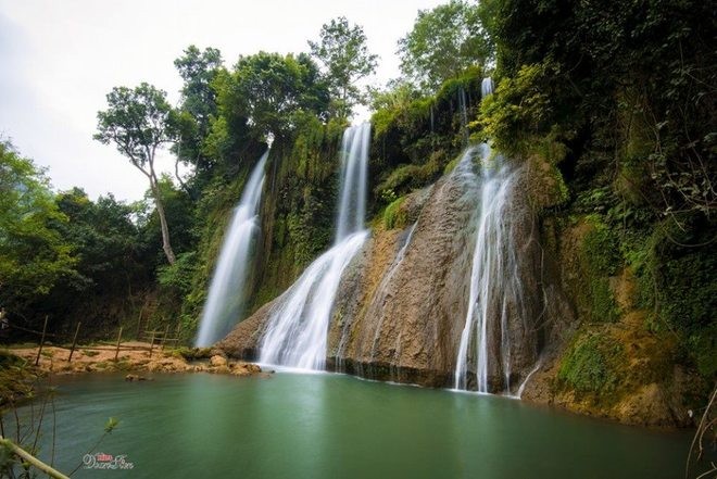 Moc Chau plateau inspires tourists - ảnh 2